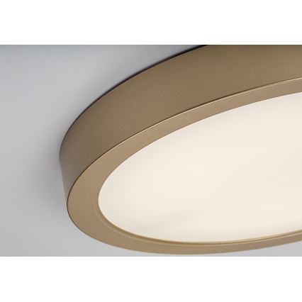 Rabalux - LED badkamerplafondlamp LED/30W/230V Ø 30 cm IP44 goud