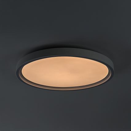 Rabalux - LED dimbare plafondlamp LED/31W/230V IP40 3000-6500K Ø 41,5 cm + afstandsbediening