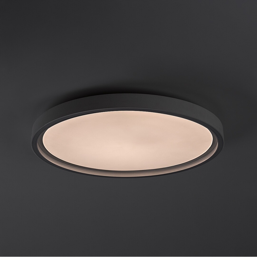 Rabalux - LED dimbare plafondlamp LED/31W/230V IP40 3000-6500K Ø 41,5 cm + afstandsbediening