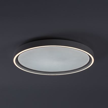 Rabalux - LED dimbare plafondlamp LED/31W/230V IP40 3000-6500K Ø 41,5 cm + afstandsbediening