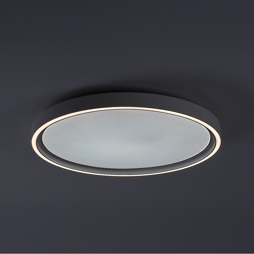 Rabalux - LED dimbare plafondlamp LED/31W/230V IP40 3000-6500K Ø 41,5 cm + afstandsbediening