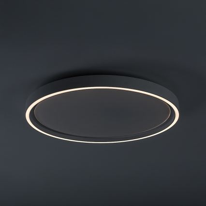 Rabalux - LED dimbare plafondlamp LED/31W/230V IP40 3000-6500K Ø 41,5 cm + afstandsbediening