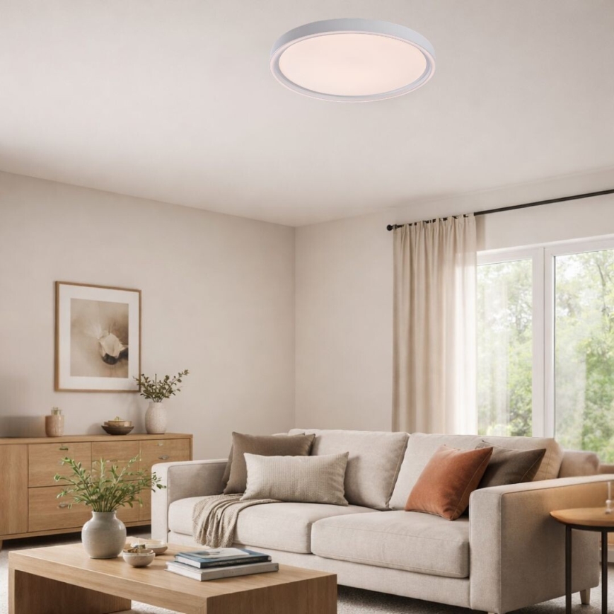 Rabalux - Dimbare LED-plafondlamp LED/54W/230V IP40 3000-6500K diam. 52 cm + afstandsbediening