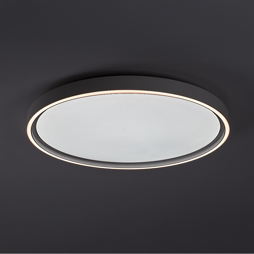 Rabalux - Dimbare LED-plafondlamp LED/54W/230V IP40 3000-6500K diam. 52 cm + afstandsbediening