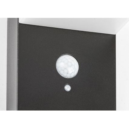 Rabalux - LED-lamp op zonne-energie met sensor LED/6W/3,7V IP44