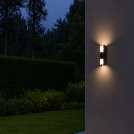 Rabalux - LED buitenwandlamp LED/13W/230V IP65 antraciet