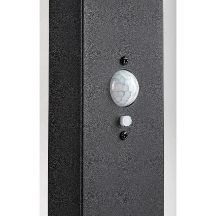 Rabalux - dimbare LED buitenlamp op zonne-energie met sensor LED/4,4W/3,7V IP54 antraciet 2200 mAh
