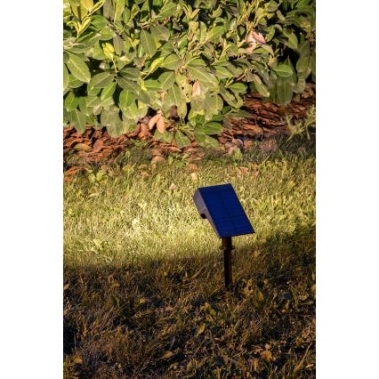 Rabalux - LED Zonne-energie lamp LED/0,5W/3,7V IP65 zwart 3000 mAh