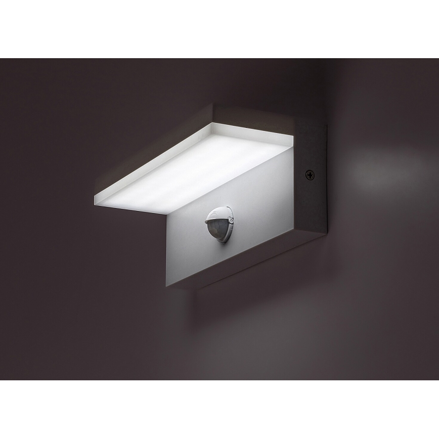 Rabalux - LED Wandlamp voor buiten met sensor LED/9W/230V 2700/4000/6500K IP54 wit