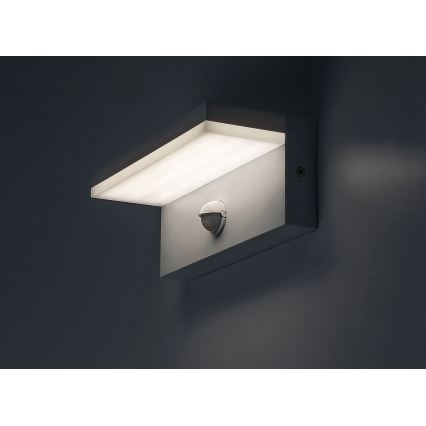 Rabalux - LED Wandlamp voor buiten met sensor LED/9W/230V 2700/4000/6500K IP54 wit
