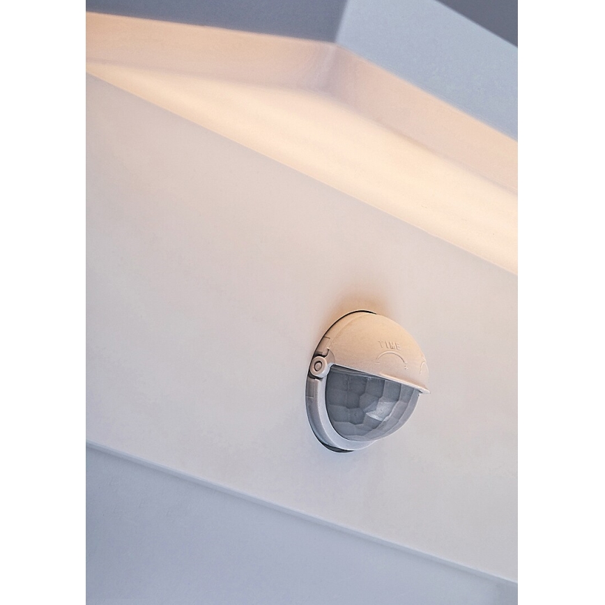 Rabalux - LED Wandlamp voor buiten met sensor LED/9W/230V 2700/4000/6500K IP54 wit