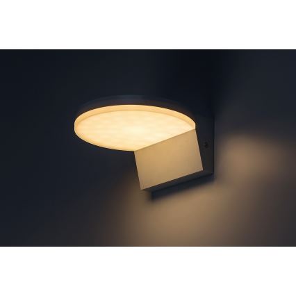 Rabalux - LED Wandlamp voor buiten LED/9W/230V 2700/4000/6500K IP54 zwart