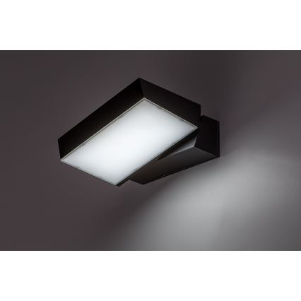 Rabalux - LED Wandlamp voor buiten LED/14W/230V 2700/4000/6500K IP54