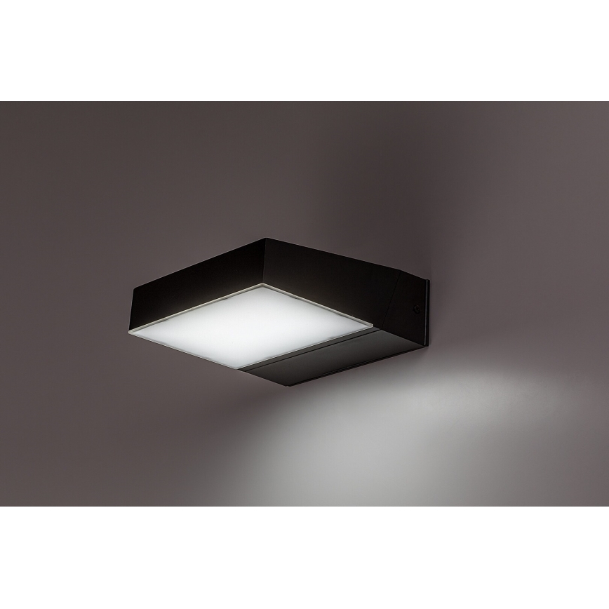 Rabalux - LED Wandlamp voor buiten LED/14W/230V 2700/4000/6500K IP54