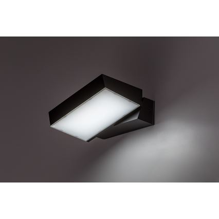 Rabalux - LED Wandlamp voor buiten LED/14W/230V 2700/4000/6500K IP54
