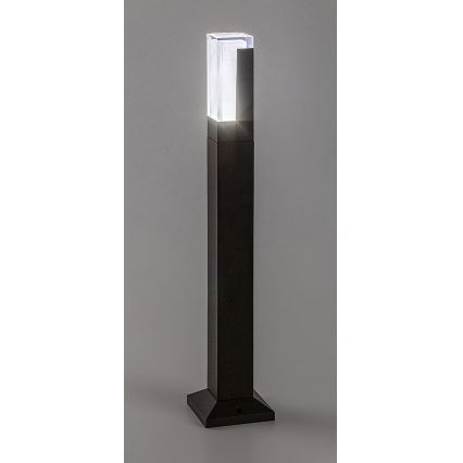Rabalux - LED Buitenlamp LED/7W/230V IP54