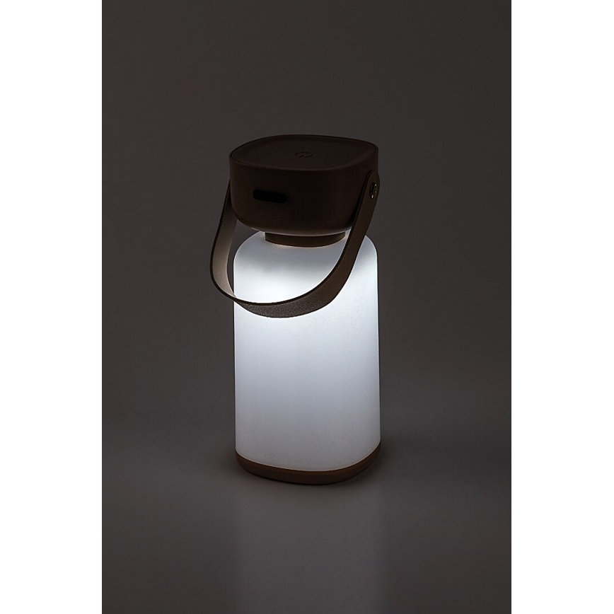 Rabalux - LED Buiten dimbare touch oplaadbare tafellamp LED/3W/5V IP44 bruin