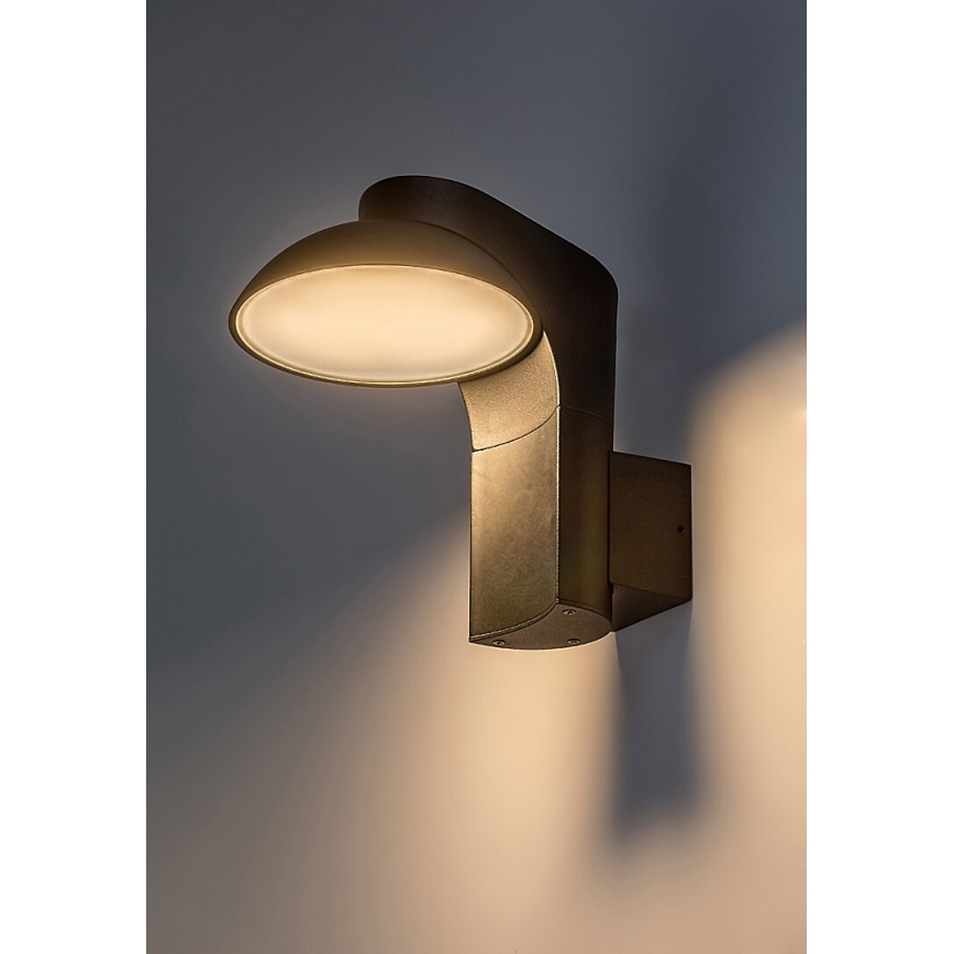 Rabalux - LED Wandlamp voor buiten LED/12W/230V IP54