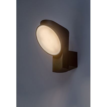 Rabalux - LED Wandlamp voor buiten LED/12W/230V IP54