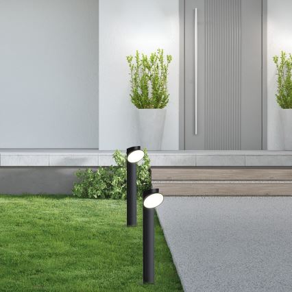 Rabalux - LED Buitenlamp LED/12W/230V IP54
