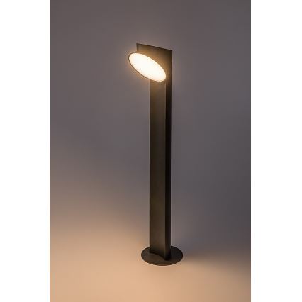 Rabalux - LED Buitenlamp LED/12W/230V IP54