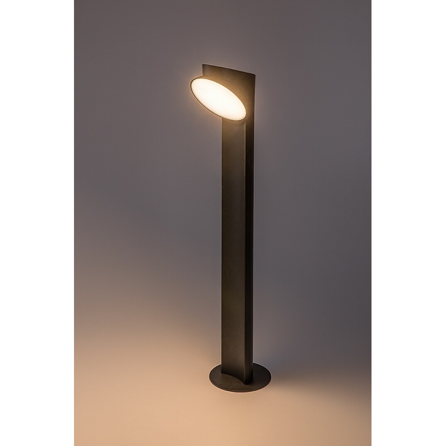 Rabalux - LED Buitenlamp LED/12W/230V IP54