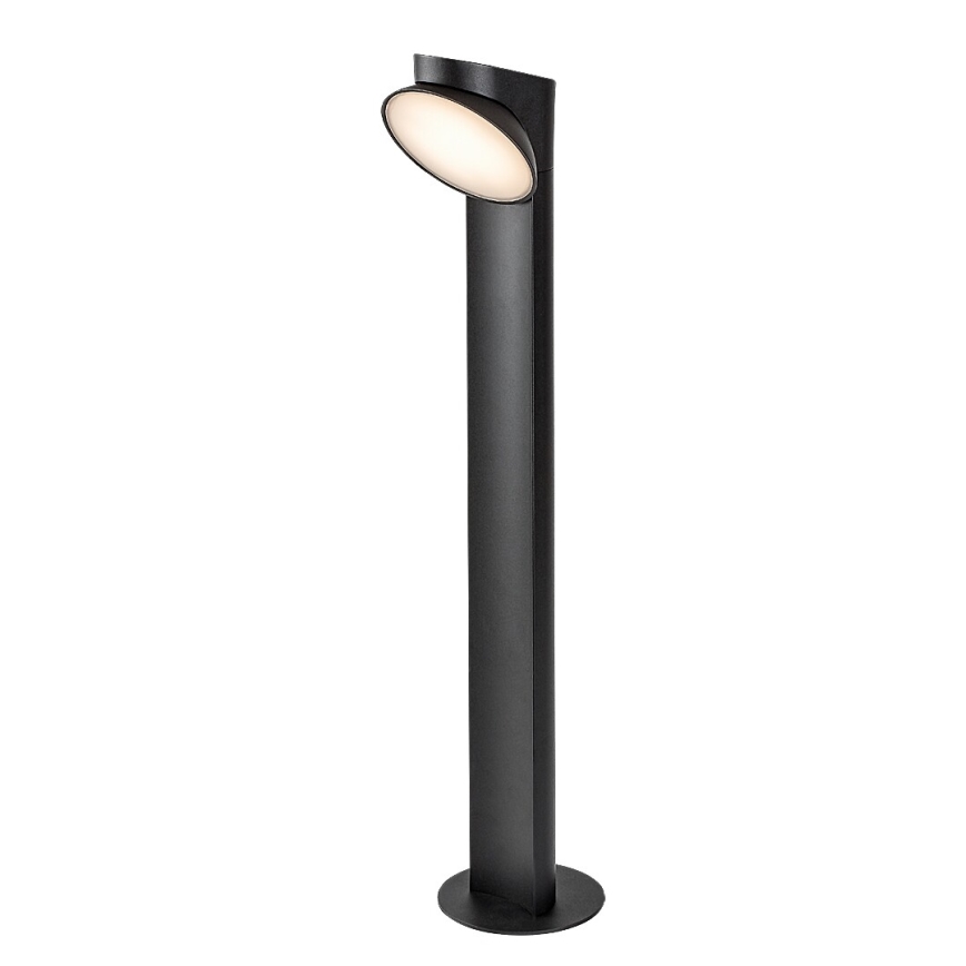 Rabalux - LED Buitenlamp LED/12W/230V IP54