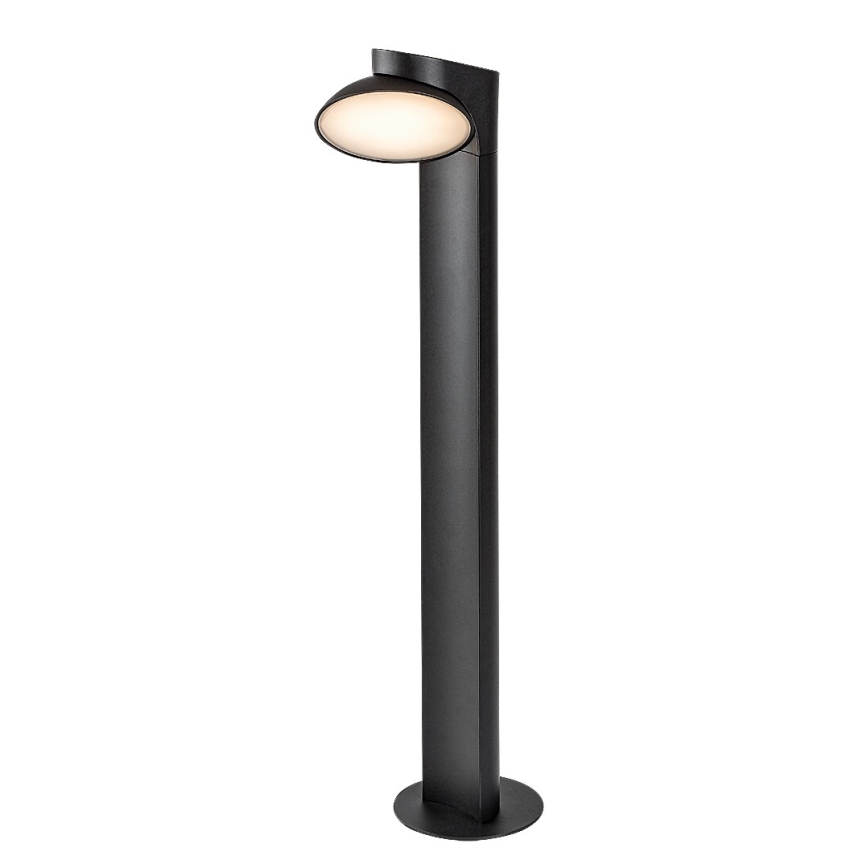 Rabalux - LED Buitenlamp LED/12W/230V IP54