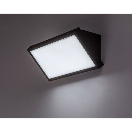 Rabalux - LED Wandlamp voor buiten LED/18W/230V 2700/4000/6500K IP65