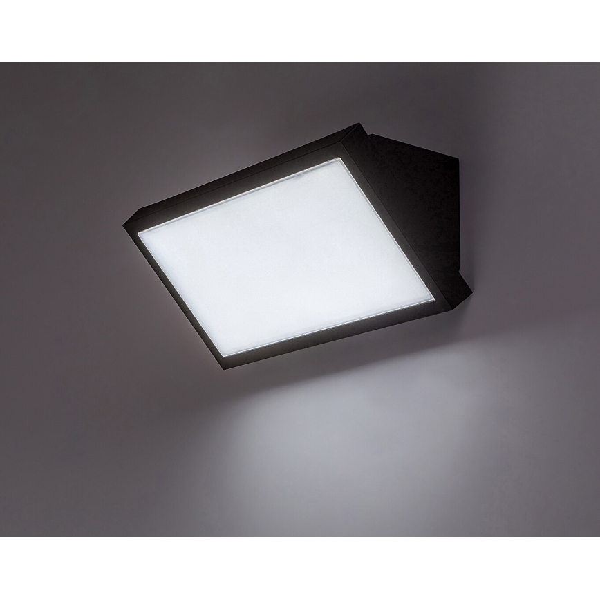 Rabalux - LED Wandlamp voor buiten LED/18W/230V 2700/4000/6500K IP65