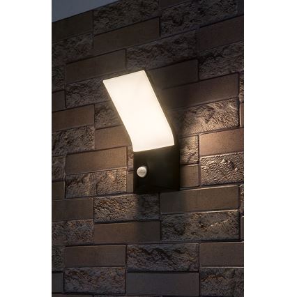 Rabalux - LED Wandlamp voor buiten met sensor LED/10W/230V IP54