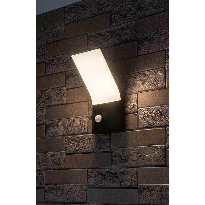 Rabalux - LED Wandlamp voor buiten met sensor LED/10W/230V IP54