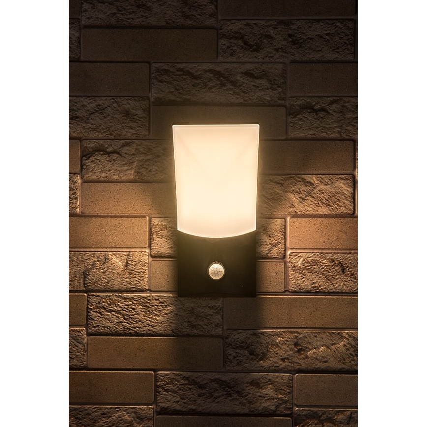 Rabalux - LED Wandlamp voor buiten met sensor LED/10W/230V IP54