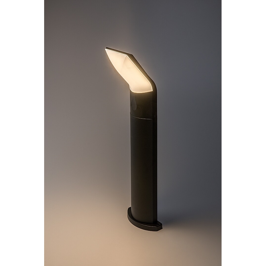 Rabalux - LED Buitenlamp LED/10W/230V IP54