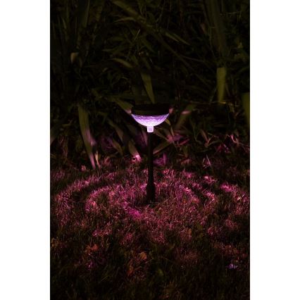 Rabalux - LED RGB Solarverlichting LED/0,1W/1,2V 600mAh IP44