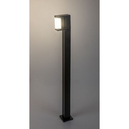 Rabalux - LED Buitenlamp LED/10W/230V IP54