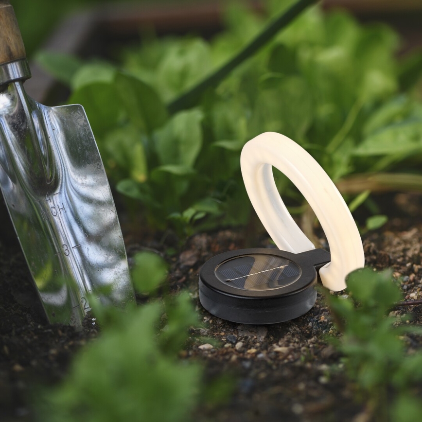 Rabalux - LED Solarverlichting LED/0,05W/1,2V IP44 300 mAh