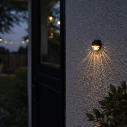 Rabalux - Set van 2 LED zonne-wandlampen LED/0,06W/1,2V 300 mAh IP44