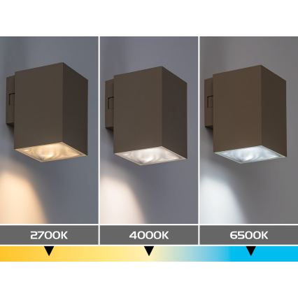 Rabalux - LED buitenwandlamp LED/9W/230V 2700/4000/6500K IP65
