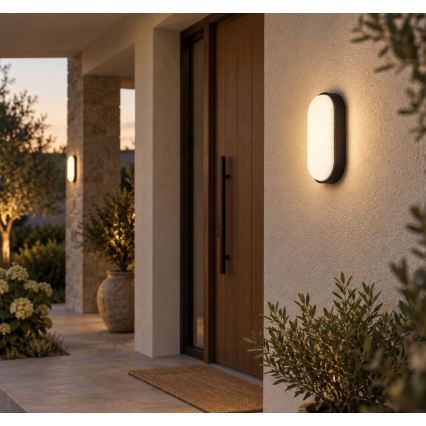 Rabalux - LED buitenwandlamp LED/14W/230V IP54 zwart