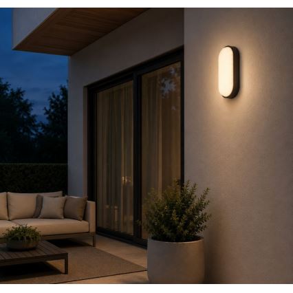 Rabalux - LED buitenwandlamp LED/14W/230V IP54 zwart