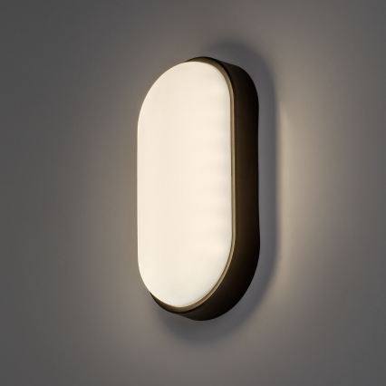 Rabalux - LED buitenwandlamp LED/14W/230V IP54 zwart