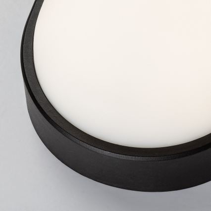 Rabalux - LED buitenwandlamp LED/14W/230V IP54 zwart