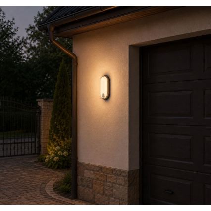 Rabalux - LED buitenplafondlamp met sensor LED/15W/230V IP65 zwart