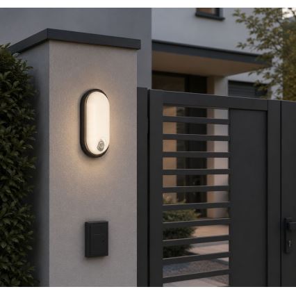 Rabalux - LED buitenplafondlamp met sensor LED/15W/230V IP65 zwart