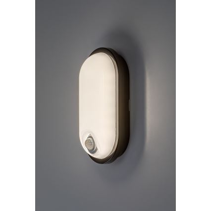 Rabalux - LED buitenplafondlamp met sensor LED/15W/230V IP65 zwart