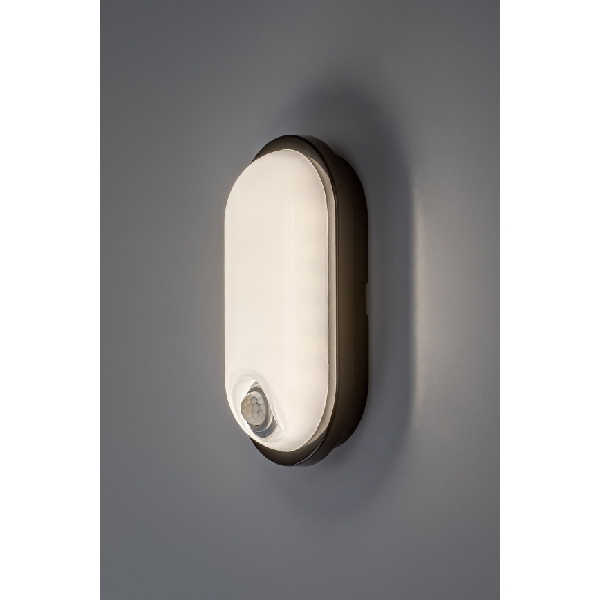 Rabalux - LED buitenplafondlamp met sensor LED/15W/230V IP65 zwart