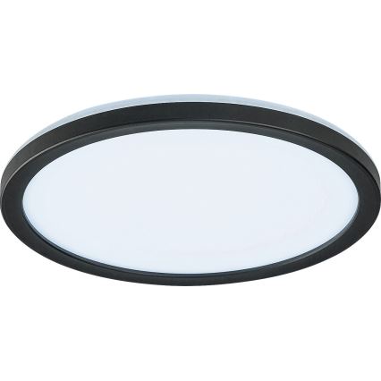 Rabalux - Dimbare LED Plafond Lamp voor Buiten LED/15W/230V Wi-Fi Tuya 2700-6500K IP44 + afstandsbediening