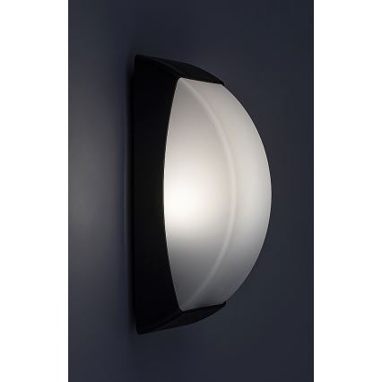 Rabalux - Wandlamp voor buiten 1xE27/12W/230V IP65