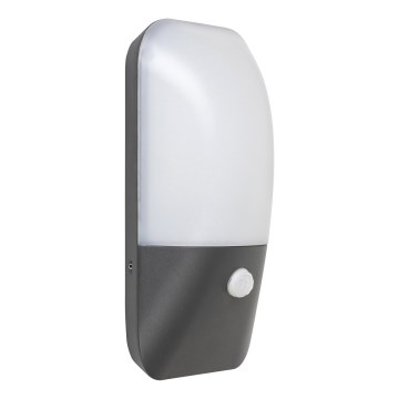Rabalux 7997 - LED Wandlamp voor buiten met sensor ECUADOR LED / 11W / 230V IP54 800lm 4000K